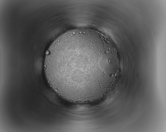 X0000089900495200707121852