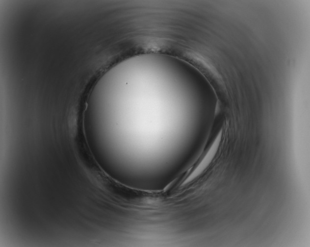 X0000089900496200707121852