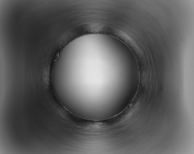 X0000089900497200707121852