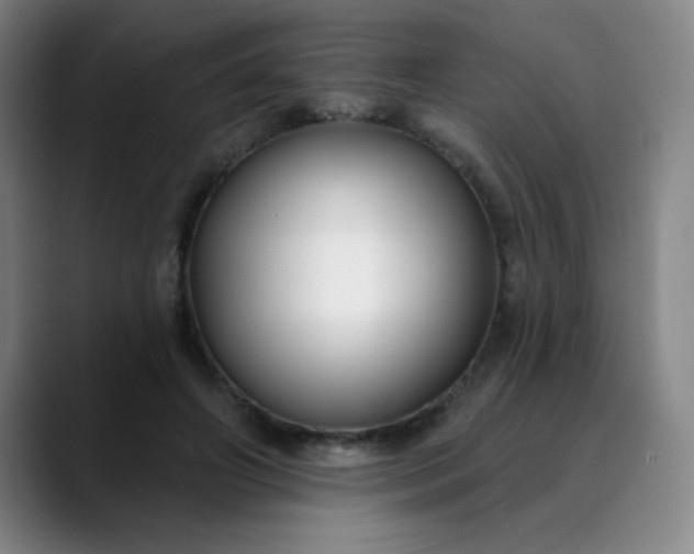 X0000089900498200707121852
