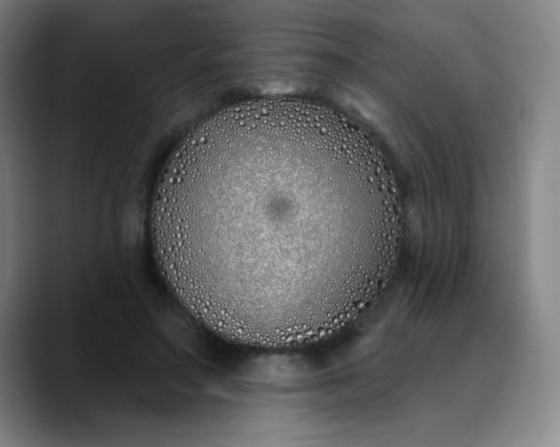 X0000089900499200707121852