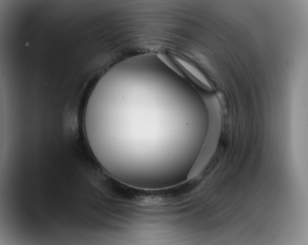X0000089900500200707121852