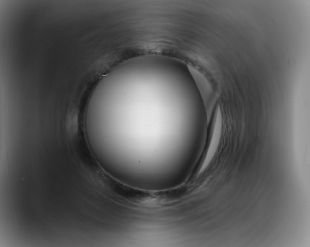 X0000089900504200707121852