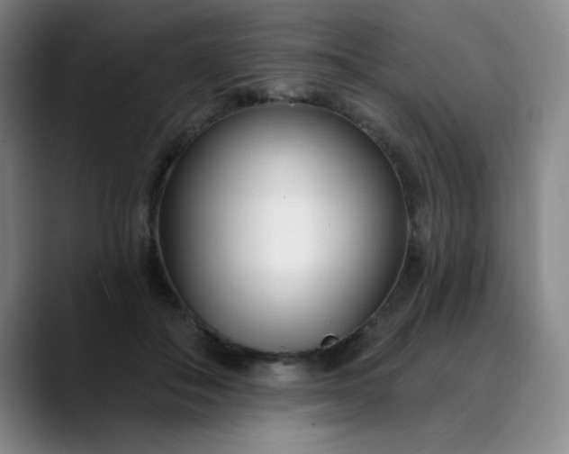 X0000089900506200707121852