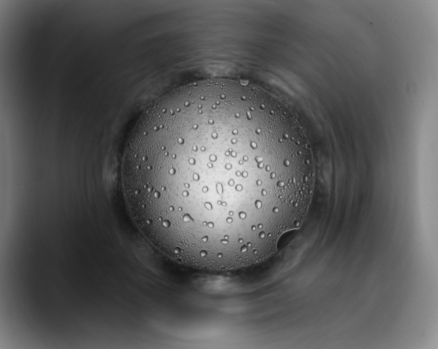 X0000089900507200707121852