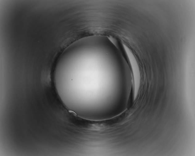 X0000089900508200707121852