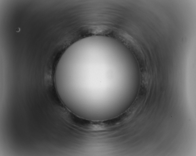 X0000089900510200707121852