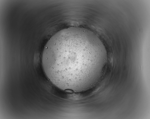 X0000089900511200707121852