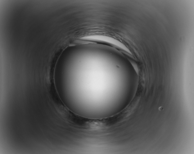 X0000089900512200707121852