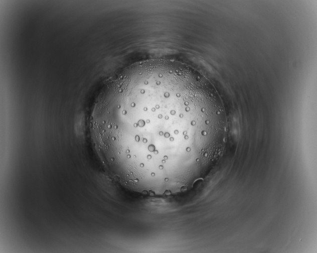 X0000089900519200707121852