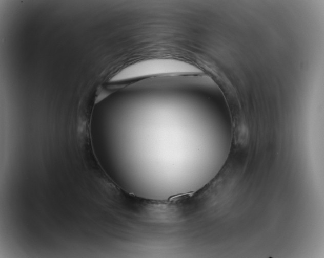 X0000089900521200707121852