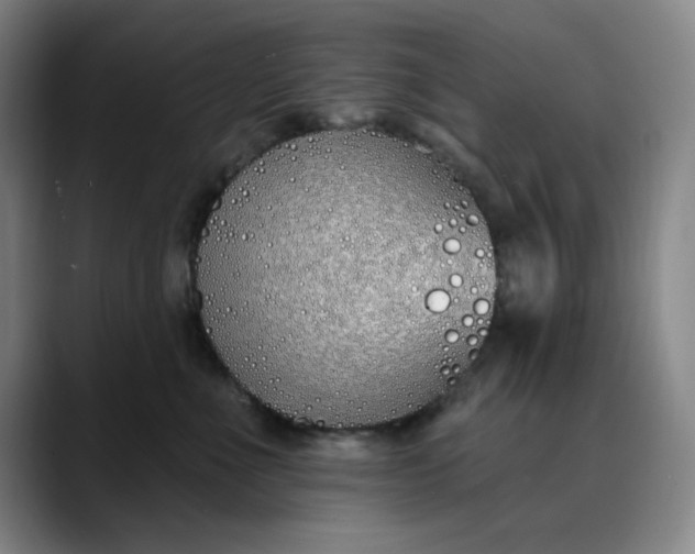 X0000089900523200707121852