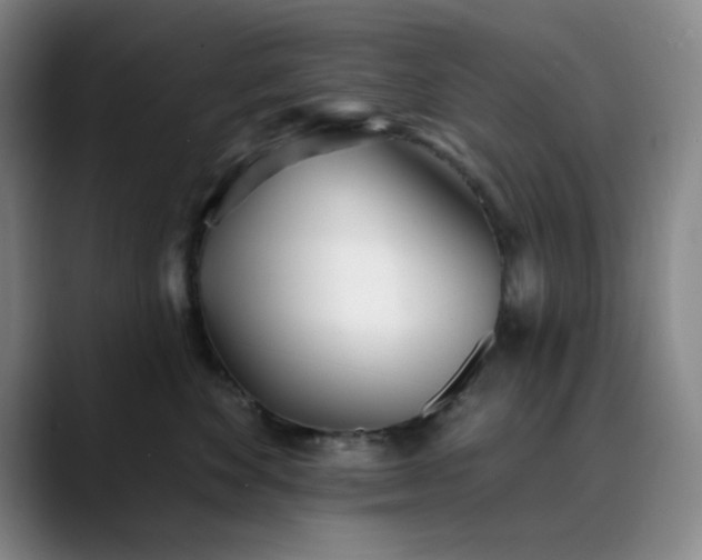 X0000089900524200707121852