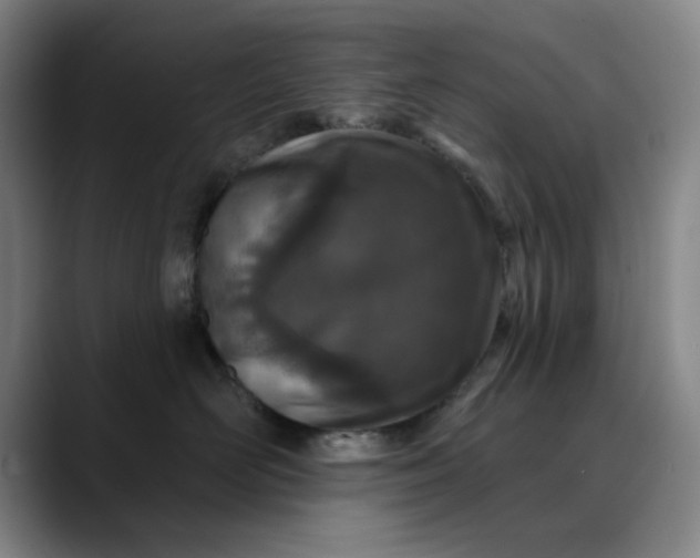 X0000089900526200707121851