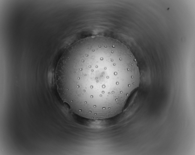 X0000089900527200707121851