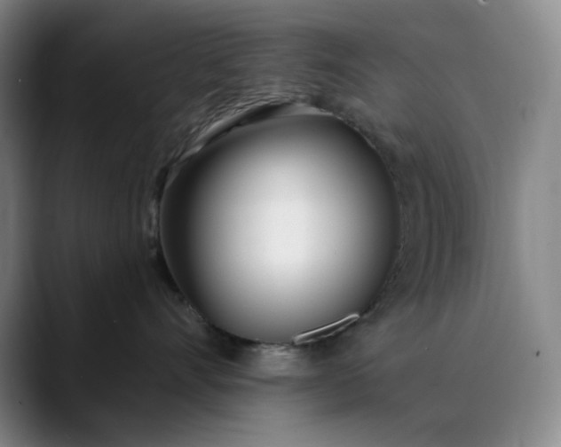 X0000089900528200707121851