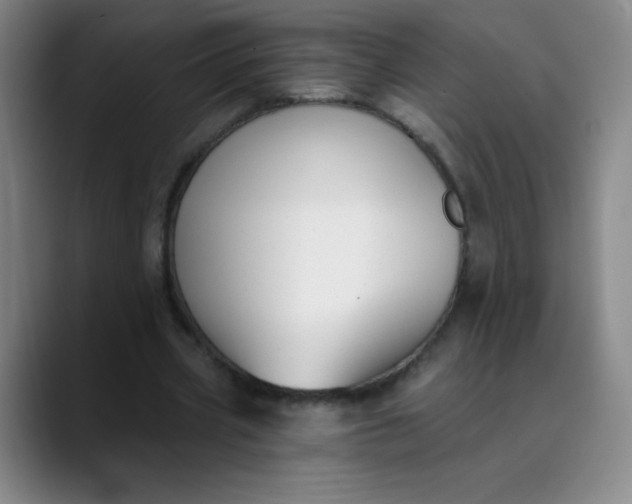 X0000089900533200707121851