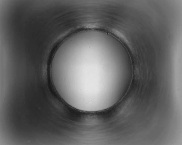 X0000089900535200707121851