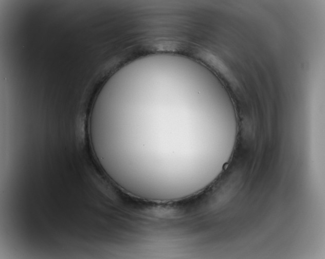X0000089900537200707121851
