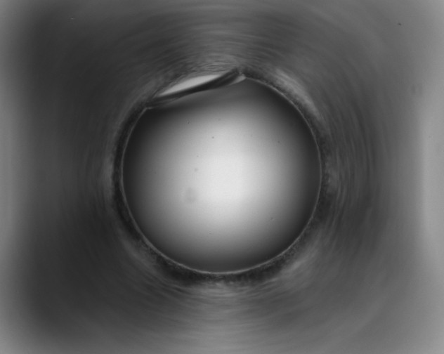 X0000089900538200707121851