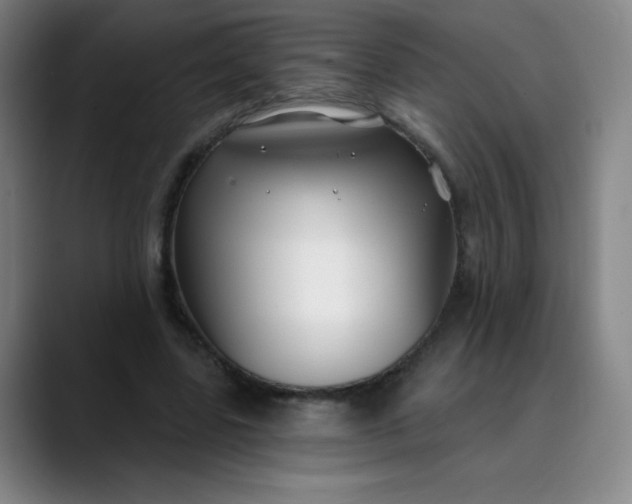 X0000089900539200707121851