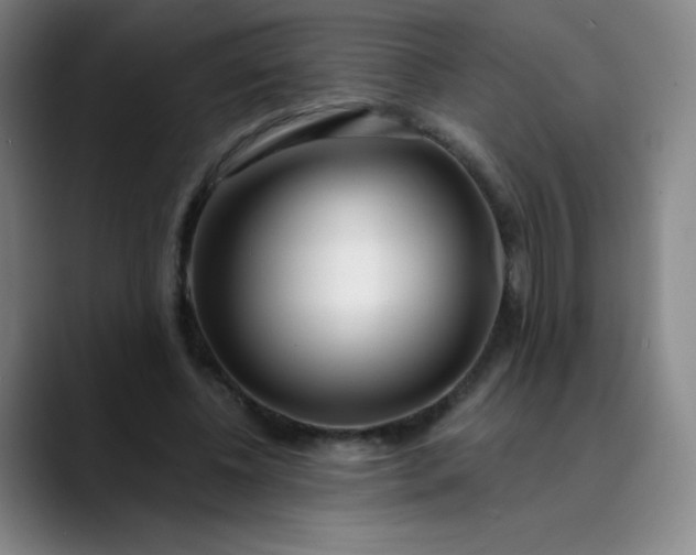X0000089900540200707121851