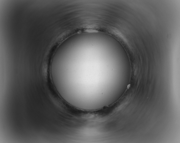 X0000089900542200707121851