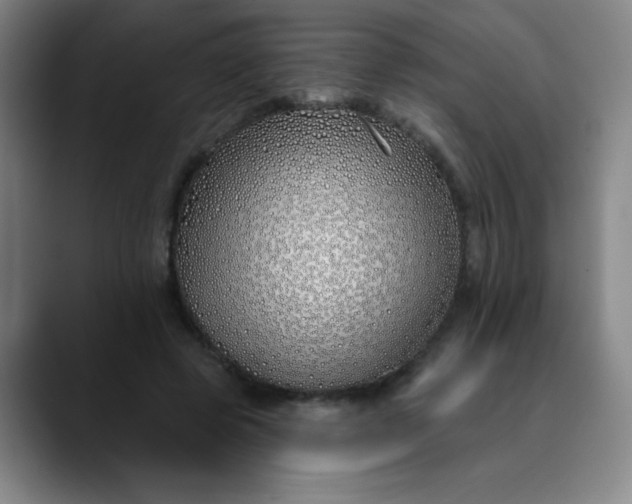 X0000089900545200707121851