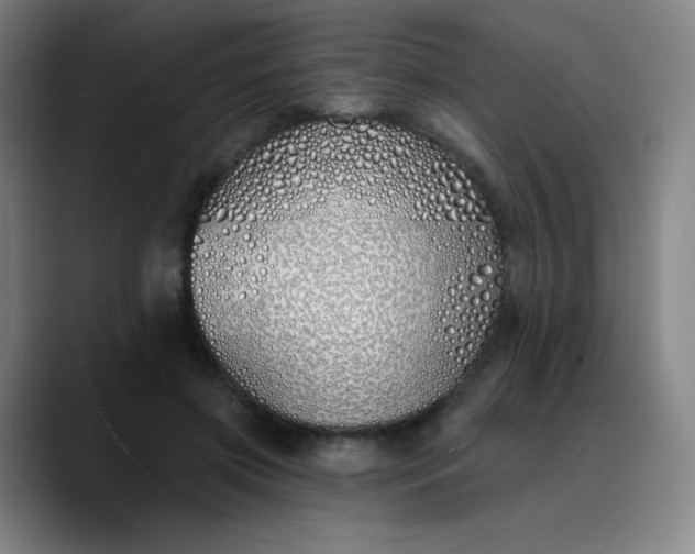 X0000089900549200707121851