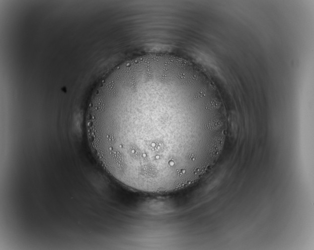 X0000089900550200707121851