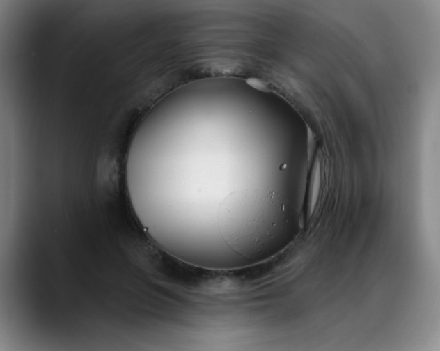 X0000089900551200707121851