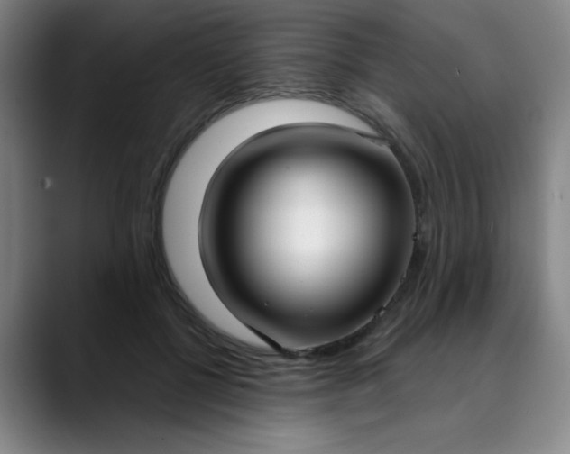 X0000089900552200707121851