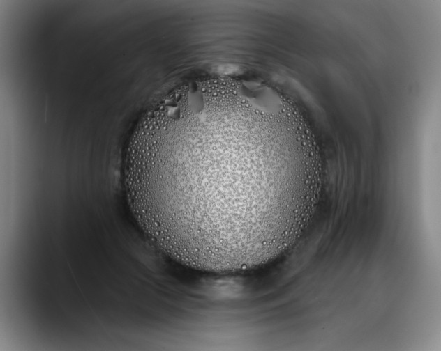 X0000089900553200707121851