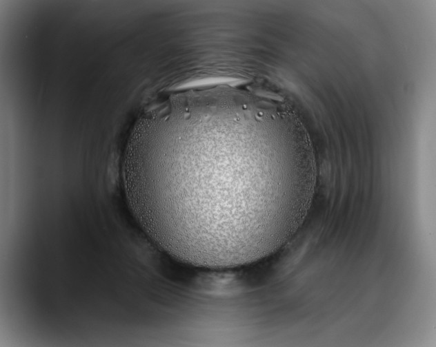 X0000089900554200707121851