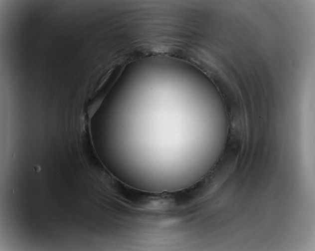 X0000089900555200707121851
