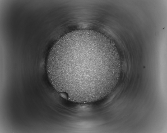 X0000089900557200707121851