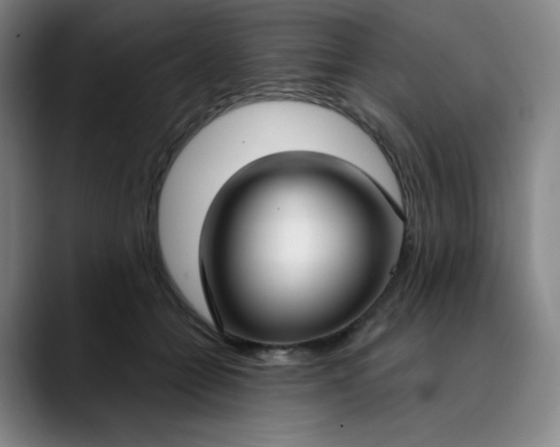 X0000089900558200707121851