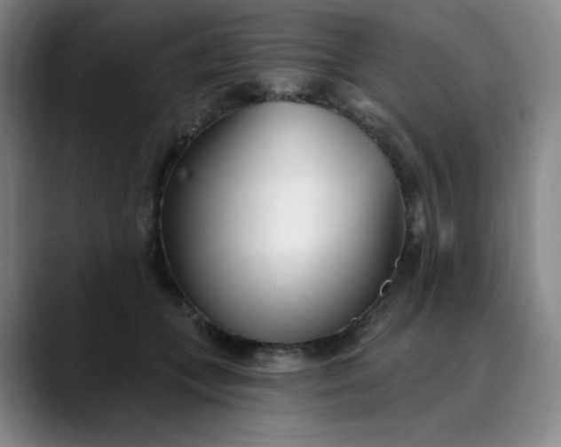 X0000089900559200707121851