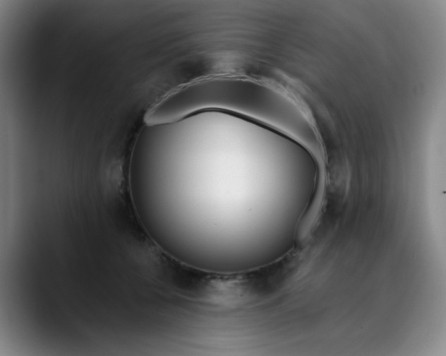 X0000089900560200707121851