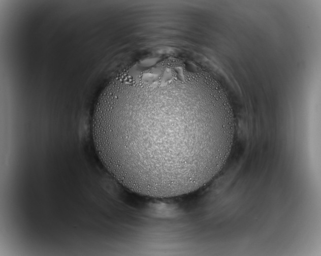 X0000089900561200707121851