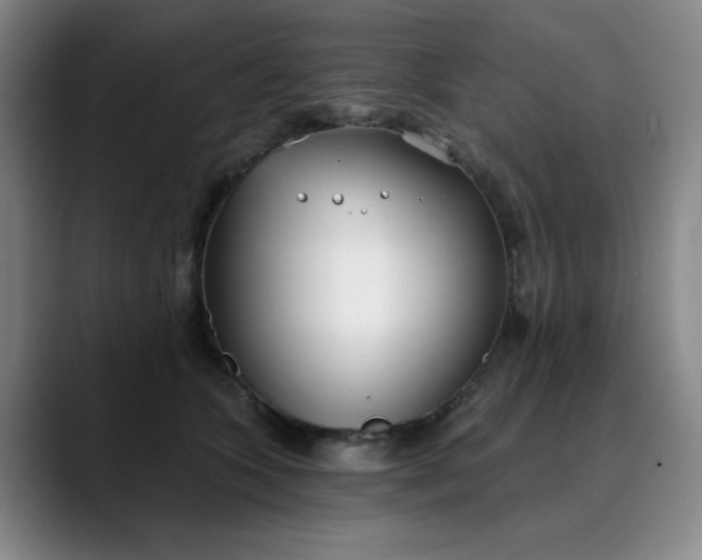 X0000089900563200707121851