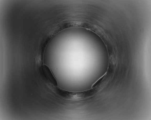 X0000089900564200707121851