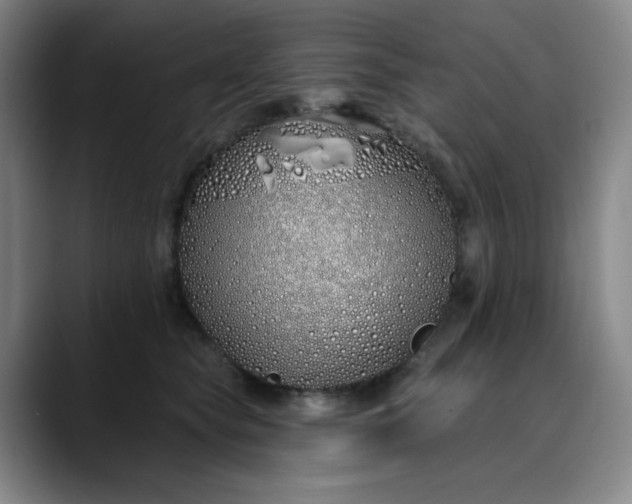 X0000089900565200707121851