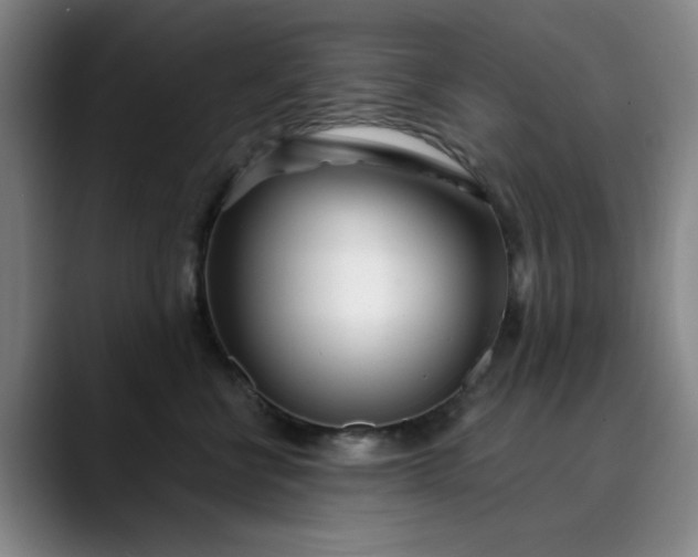 X0000089900570200707121851
