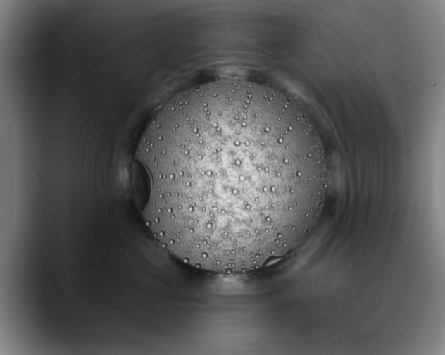 X0000089900573200707121851