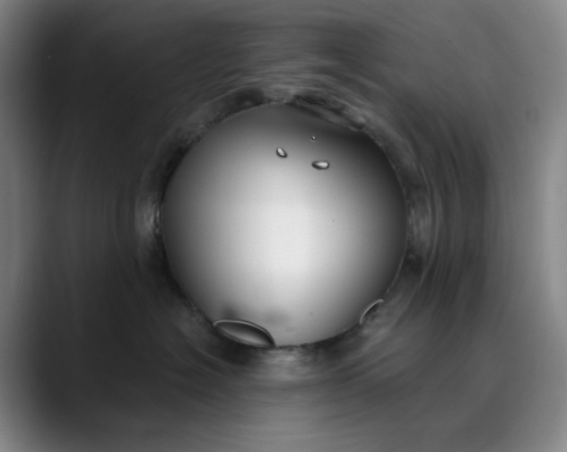 X0000089900574200707121851