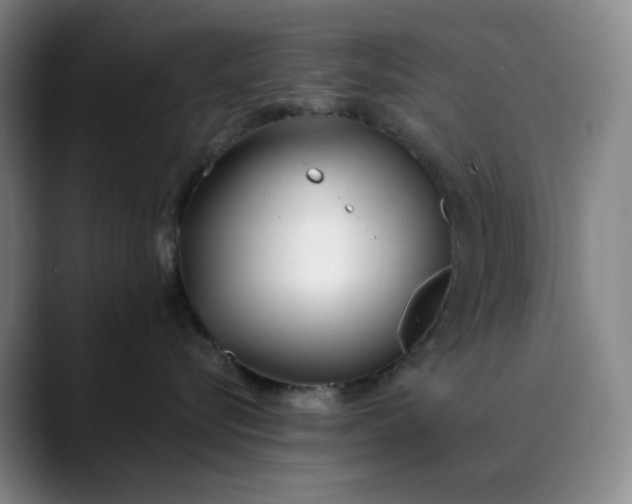 X0000089900576200707121851