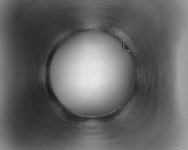 X0000089900578200707121851