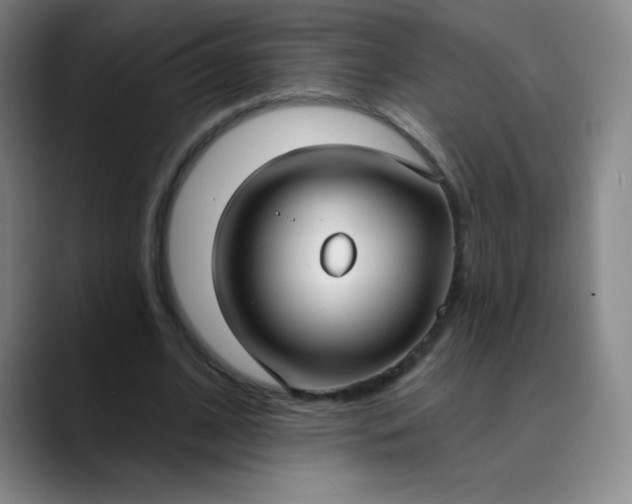 X0000089900584200707121851
