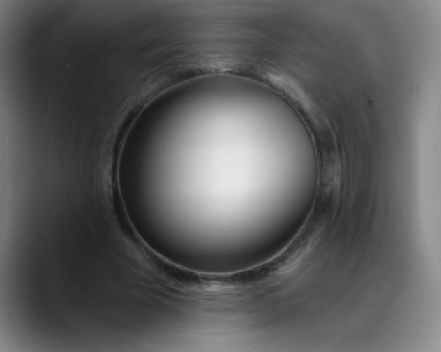 X0000089900585200707121851